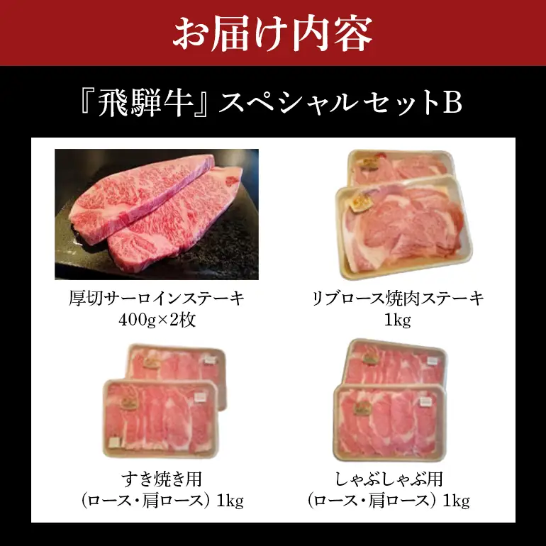 飛騨牛 A5～4等級 スペシャルセットB (A01-024)