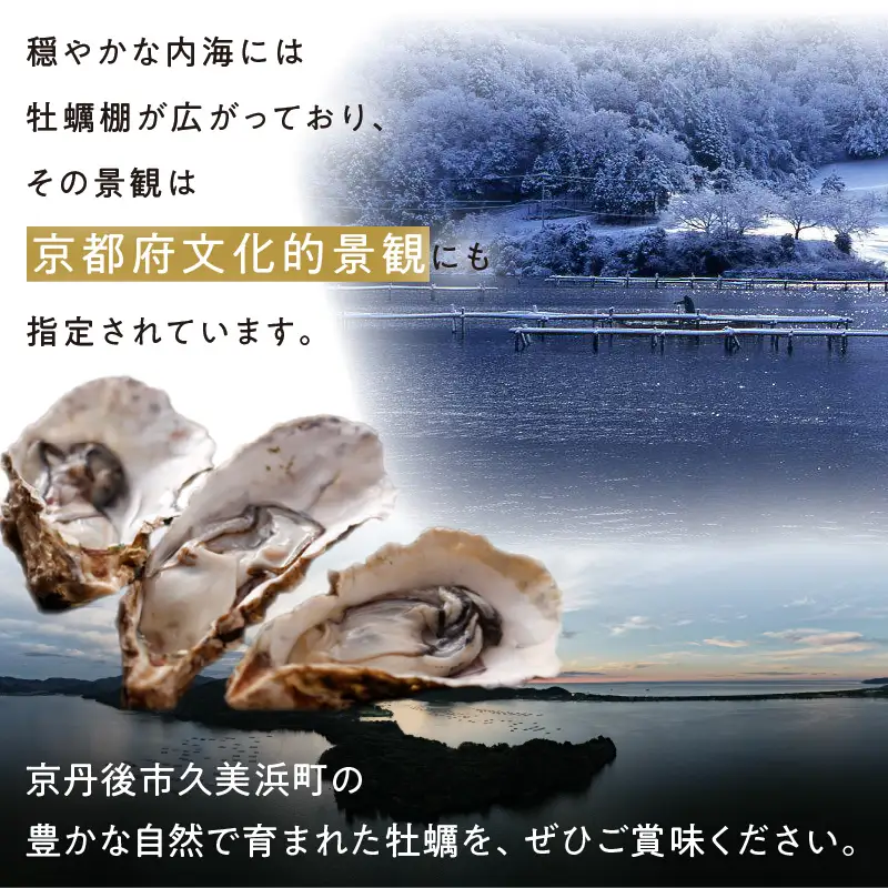 牡蠣 殻付き約20個 牡蠣