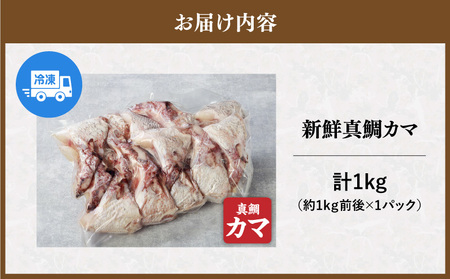 新鮮真鯛カマ（約1kg） M079-011-01 魚 冷凍