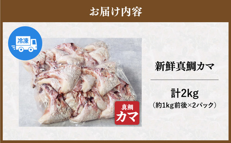 新鮮真鯛カマ（約2kg） M079-011-02 魚 冷凍
