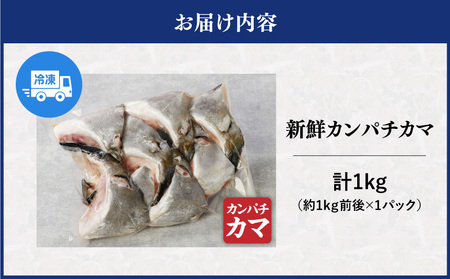 新鮮カンパチ カマ 約1kg M079-012-01 魚 冷凍