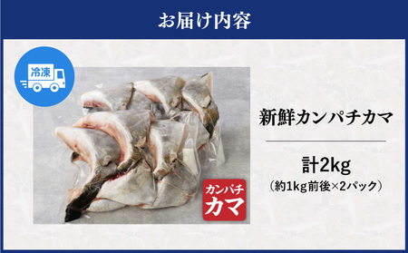 新鮮カンパチ カマ 約2kg M079-012-02 魚 冷凍