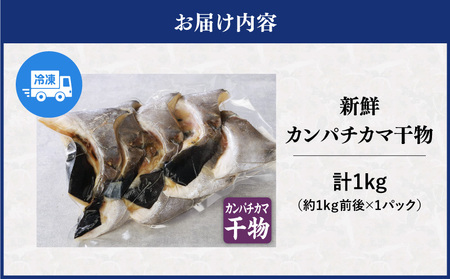 新鮮カンパチ カマ干物 約1kg M079-012-03 冷凍 加工品