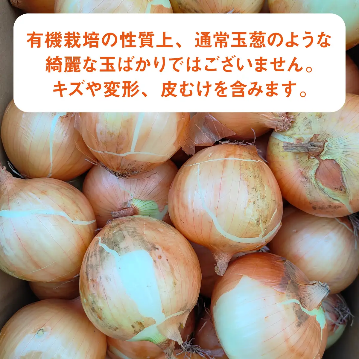 淡路島産有機栽培玉葱10kg JAS認定オーガニックたまねぎ  / 玉ねぎ 玉葱 たまねぎ 有機JAS オーガニック