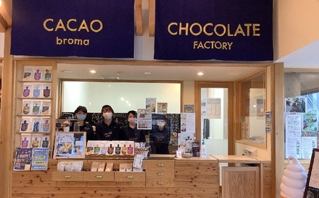 【薬剤師監修】 オーガニック チョコレート 1枚 〈 ソルトニブ 〉【 チョコ お菓子 スイーツ 手作り プレゼント 】RT1557