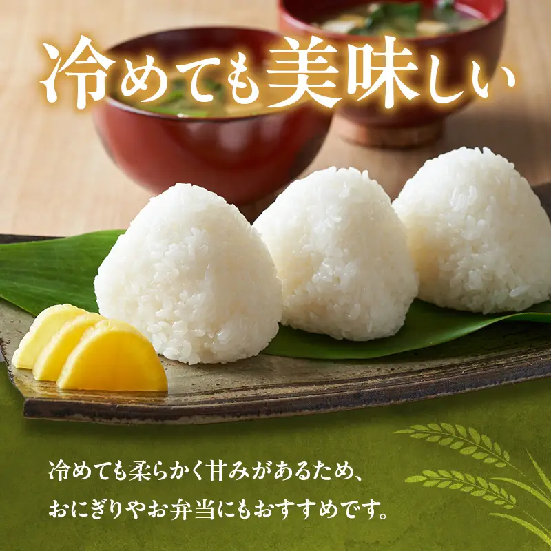 特別寄附額 米 令和7年産 有機 ・ 減農薬栽培米 キヌヒカリ 白米 10kg（5kg×2） 数量限定 お米 精米 単一品種 単一原料米 国産 兵庫県産