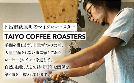 スペシャルティコーヒー豆 100g×3種 飲み比べセット【TAIYO COFFEE ROASTERS】【102-1】