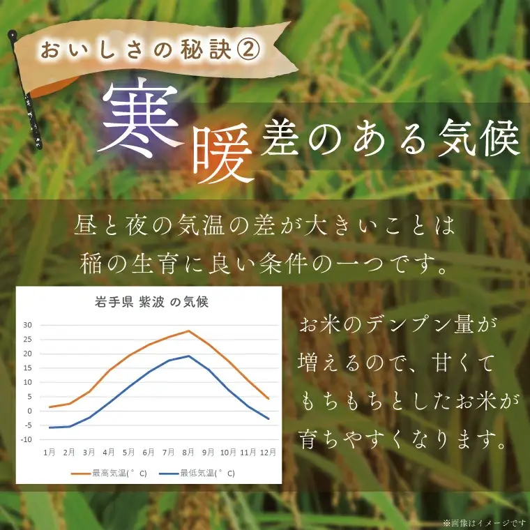 【精米】令和7年産 特別栽培米 ひとめぼれ 精米 5㎏ AD045