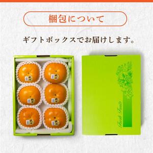 【2026年11月上旬より順次発送】福岡県産 博多秋王【優等品】約1.75kg以上(6玉入り)うまうまもぐもぐ