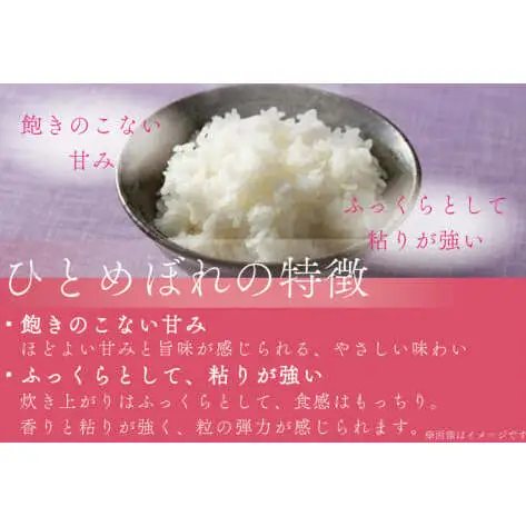【精米】令和7年産 ひとめぼれ 精米 10kg 白米 DZ002