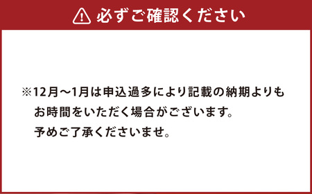 【7営業日以内発送】角煮まん 10個 ( 5個入袋×2 ) こじま 角煮まんじゅう
