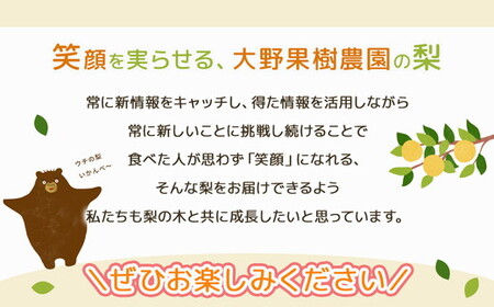 16-2 栃木県那須烏山市産大野果樹農園のにっこり梨 | 先行予約 なし 梨 にっこり 果物 くだもの フルーツ ナシ 栃木県 ※2026年10月上旬頃～発送