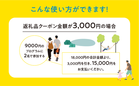 【216WORKS】体験電子チケット 3,000円分 （ニジイロワークス）電子クーポン 体験 サウナ アウトドア シャワクラ 滝めぐり ハイキング カフェトレッキング サイクリング 釣り 御岳山 登山 氷瀑 飛騨 小坂 下呂市【97-1】