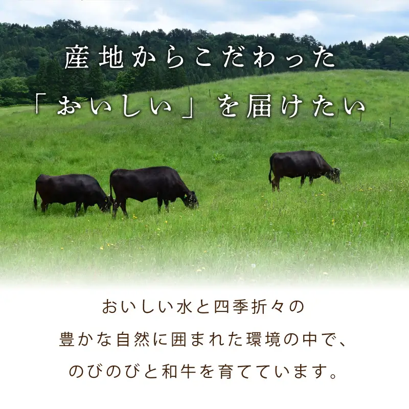 【定期便　毎月×4回】京都産和牛　食べ比べ定期便　4種/寄附額100,000円コース　【京都モリタ屋専用牧場】