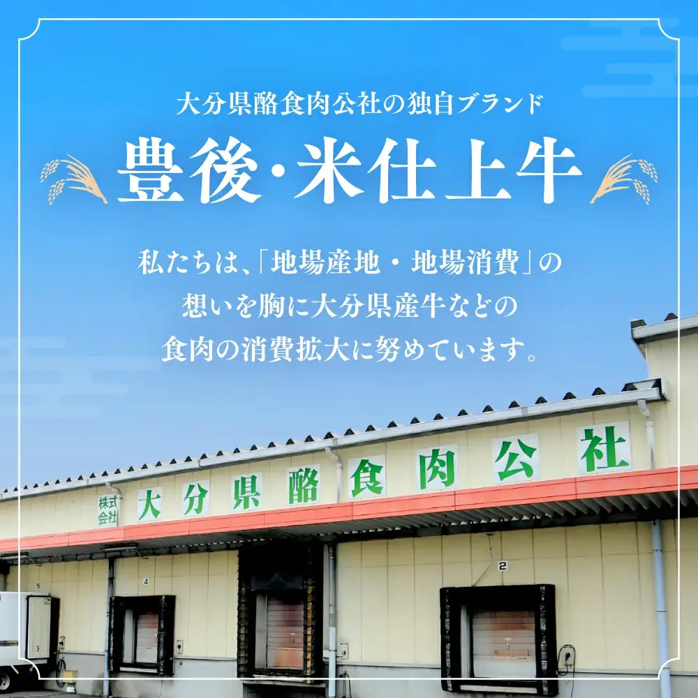 豊後・米仕上牛 カタ・ミスジ焼肉 計600g | 豊後高田市 ミスジ