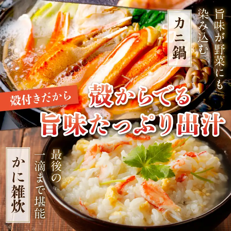 京丹後市 本ズワイガニ かに 2L 茹で 2肩 | かに