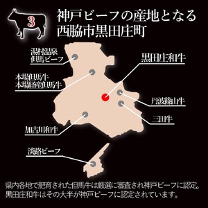 神戸ビーフ素牛・黒田庄和牛 焼肉切り落とし300g (tokusan-39)