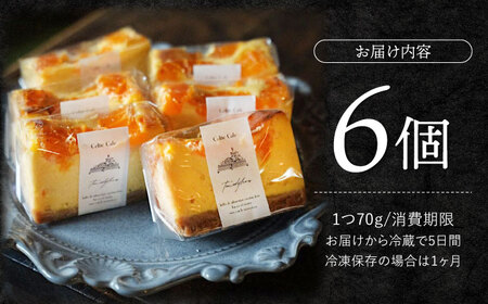 西海みかん チーズケーキ 6個 CEM007 ケーキ