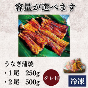 国産うなぎ 炭火焼  2尾 約500g タレ付 【 うなぎ 】