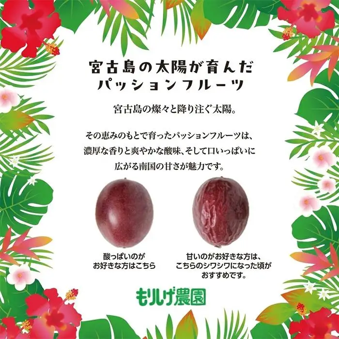 エキゾチックな味わい！宮古島産パッションフルーツ（3kg）(JJ010)