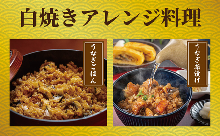 国産うなぎ 白焼き 2枚 約120g×2 定期便6回 うなぎ うなぎ うなぎ うなぎ うなぎ 石毛川魚店