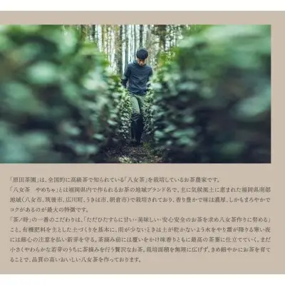 Z55-28 寄附額改定↓↓ 原田茶園 煎茶 華喜 200g（100g×2） 煎茶