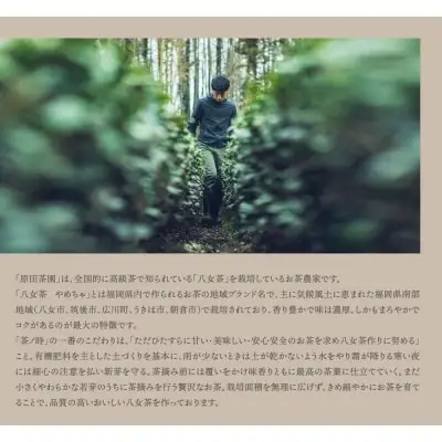 Z55-29 寄附額改定↓↓ 原田茶園 極上煎茶ティーバッグ 麗至56g 2袋（4g×7）×2  煎茶