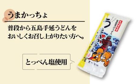 五島うどん 計5袋（清・うまかっちょ）スープ付き / 五島うどん[RAU001] 五島うどん うどん 五島うどん うどん 五島うどん うどん 五島うどん うどん 五島うどん うどん九州 長崎 