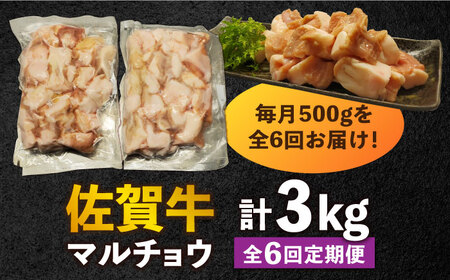 【全6回定期便】 【脂が甘くてぷりっぷり！】佐賀牛ホルモン 焼肉用 小腸 計3kg（250g/袋）味付けなし 吉野ヶ里町/やきとり紋次郎[FCJ092]