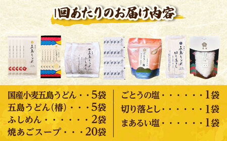 【全6回定期便】五島列島詰め合わせ[RBA033] 五島うどん うどん 詰め合わせ 定期便 五島うどん うどん 詰め合わせ 定期便九州 長崎
