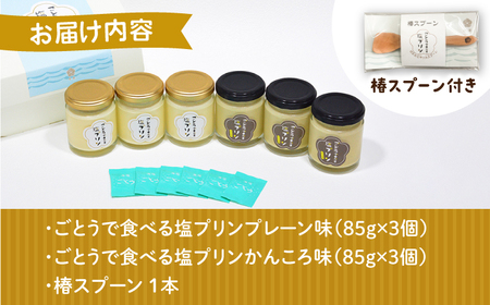 ごとうで食べる塩プリン6個 椿スプーン付き[RBA047] プリン スイーツ 塩 プリン スイーツ 塩 プリン スイーツ 塩 プリン スイーツ 塩 プリン スイーツ 塩九州 長崎