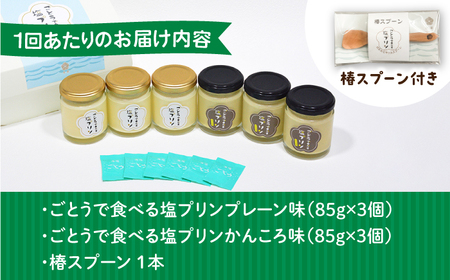 【全3回定期便】ごとうで食べる塩プリン6個 椿スプーン付き[RBA048] プリン スイーツ 塩 定期便 プリン スイーツ 塩 定期便 プリン スイーツ 塩 定期便 プリン スイーツ 塩 定期便九州 長崎