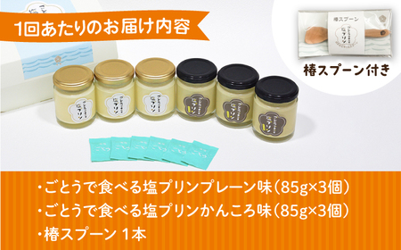 【全6回定期便】ごとうで食べる塩プリン6個 椿スプーン付き[RBA049] プリン スイーツ 塩 定期便 プリン スイーツ 塩 定期便 プリン スイーツ 塩 定期便 プリン スイーツ 塩 定期便九州 長崎