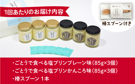 【全12回定期便】ごとうで食べる塩プリン6個 椿スプーン付き[RBA050] プリン スイーツ 塩 定期便 プリン スイーツ 塩 定期便 プリン スイーツ 塩 定期便 プリン スイーツ 塩 定期便九州 長崎