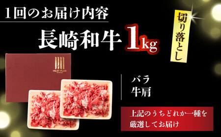 【3回定期便】 A4-A5 長崎和牛 切り落とし (500g×2） [DBS054]