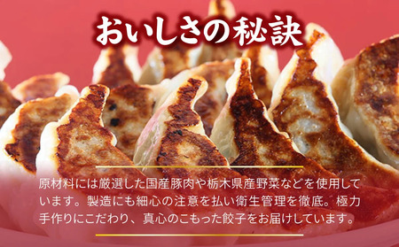 餃子専門店 宇都宮 悟空 特製肉餃子60個入