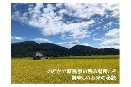 令和7年産 特別栽培 コシヒカリ 南郷米 玄米 5kg