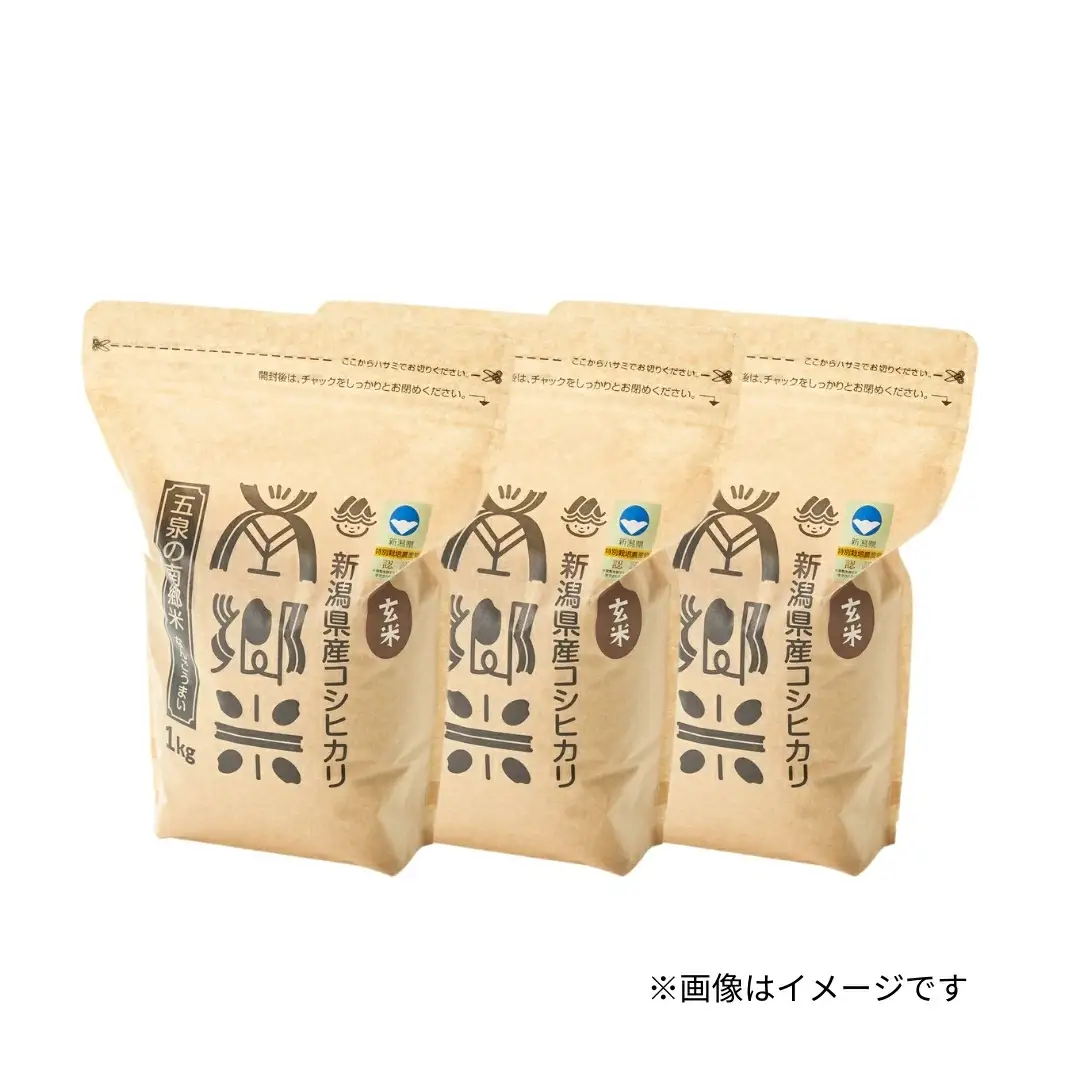 令和7年産 特別栽培コシヒカリ 南郷米 玄米 3kg（1kg×3袋）