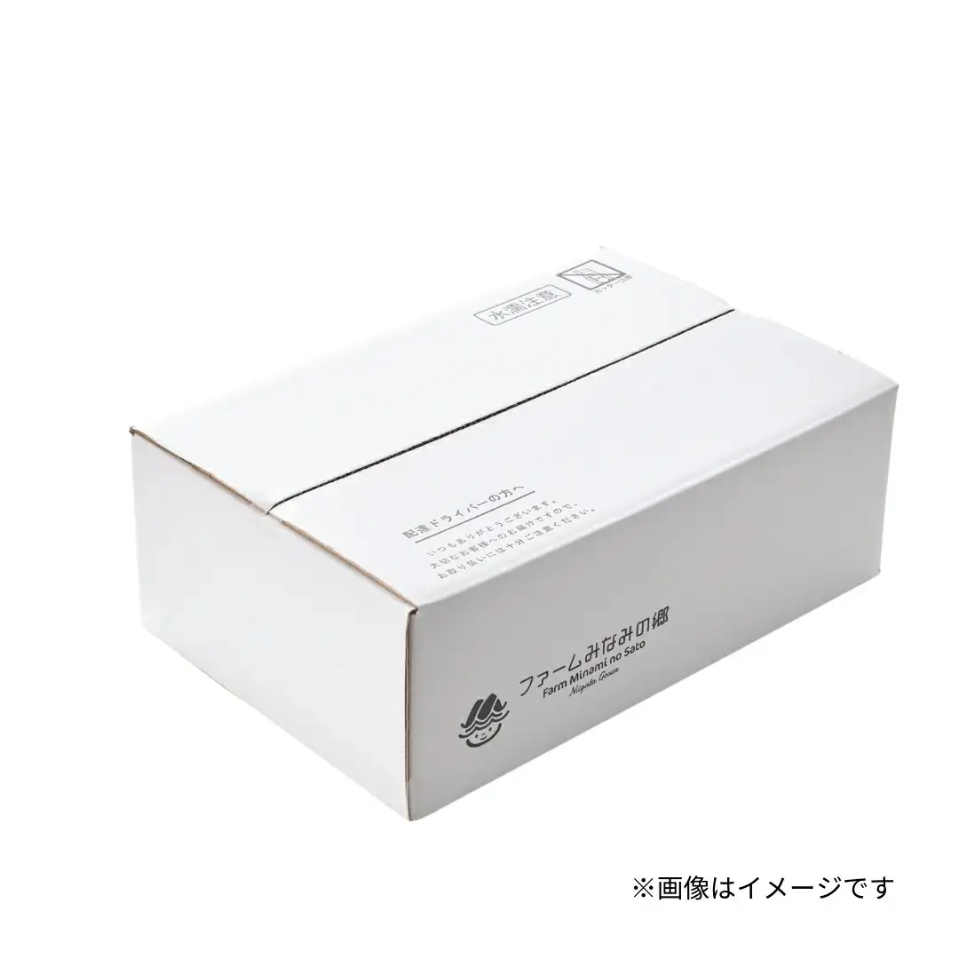 令和7年度産 新之助 精米 5kg | 新潟産 新之助 米