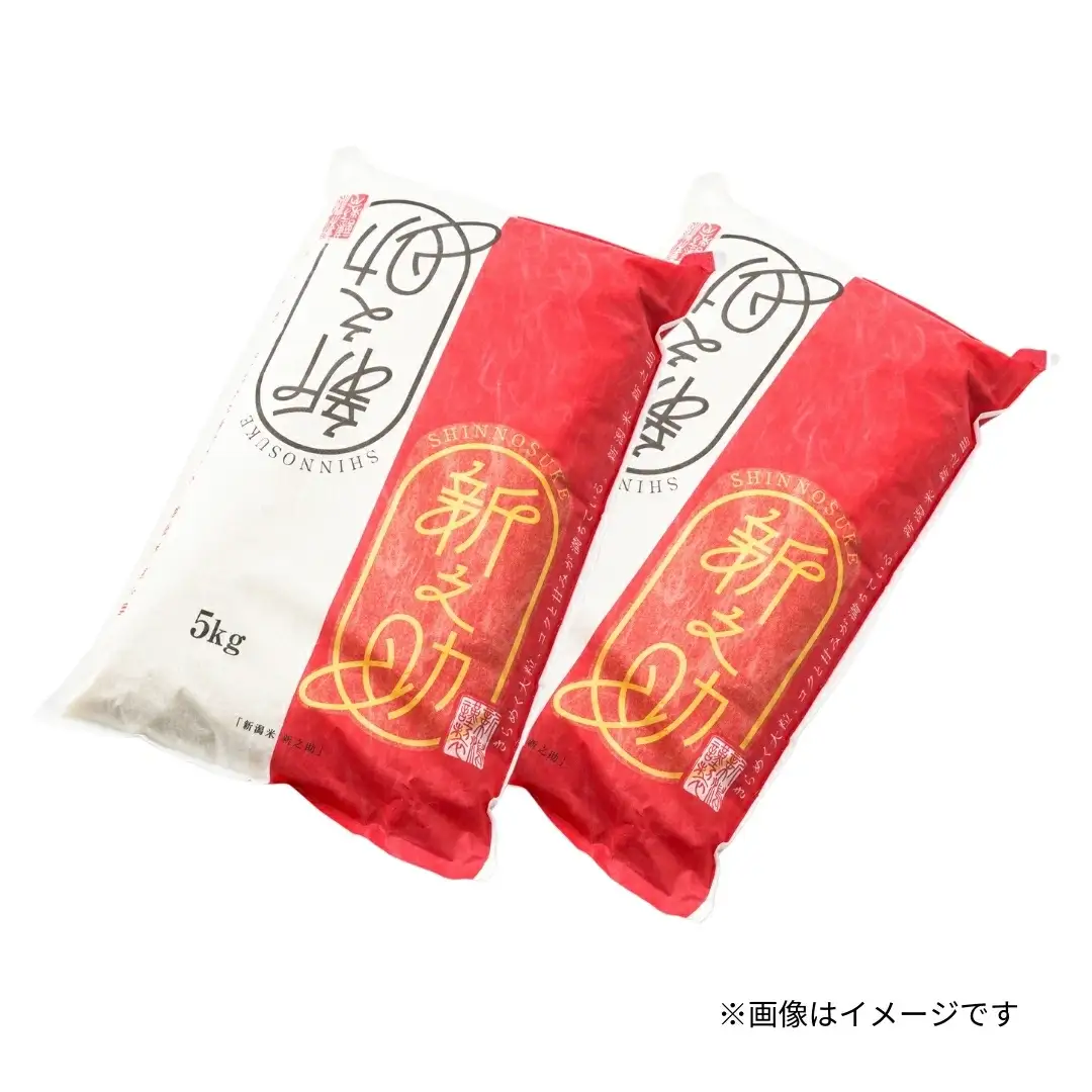 令和7年度産 新之助 精米 10kg（5kg×2袋）| 新潟県産 新之助
