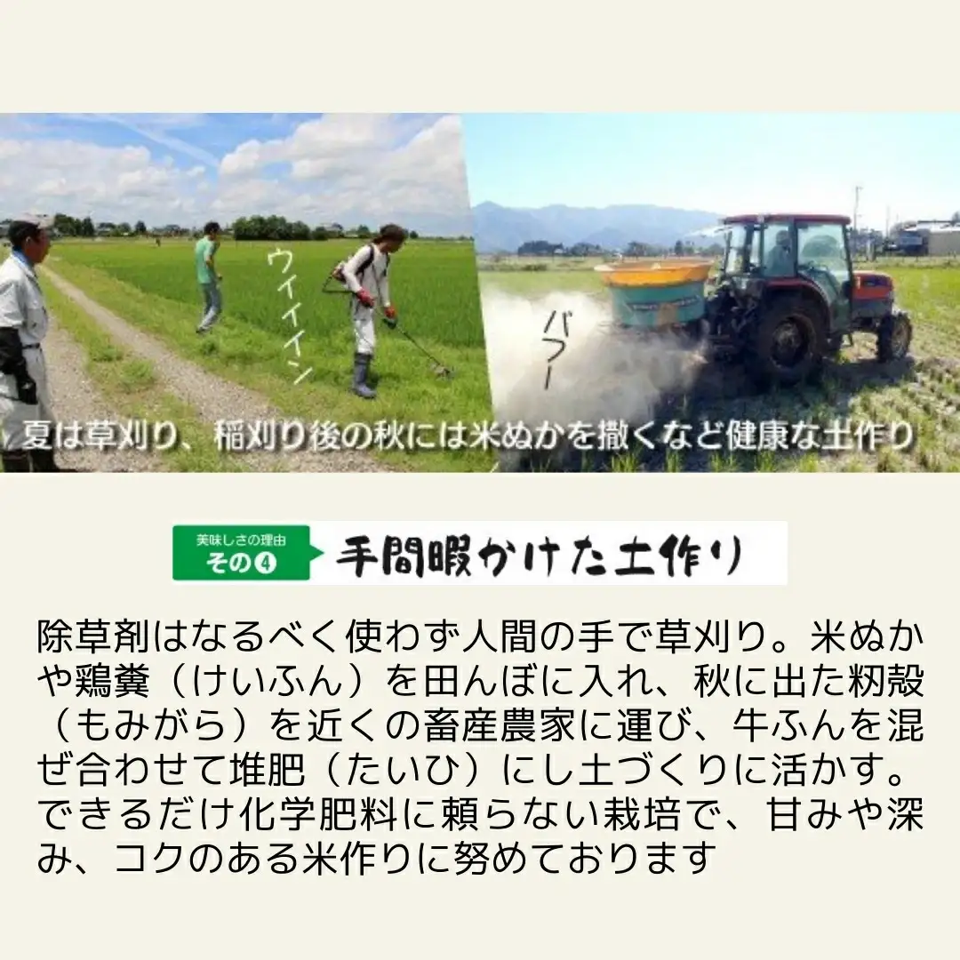 令和7年度産 コシヒカリ5kg×1袋 新之助5kg×1袋 わくわく農場