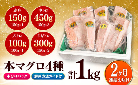 【全2回定期便】対馬産 本マグロ 4種 計1kg（赤身/中トロ/大トロ/ネギトロ） [WAH030] マグロ 赤身 中トロ 大トロ ネギトロ 