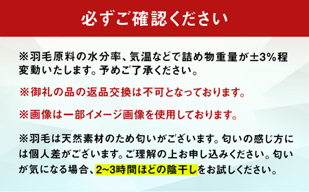 【春秋用】シングル掛け布団 羽毛0.7kg アイボリー / 布団[AFAO013]