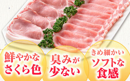 しゃぶしゃぶ 食べくらべ セット B（佐賀牛・肥前さくらポーク）計1kg [HAM076]黒毛和牛 牛肉 豚肉 しゃぶしゃぶ用 肉