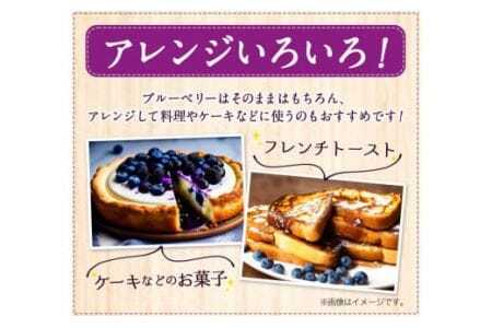 美馬の大粒 ブルーベリー