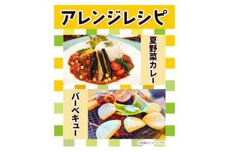 ＜先行予約＞ 旬の新鮮な 野菜便 7月夏便 8～10品  野菜