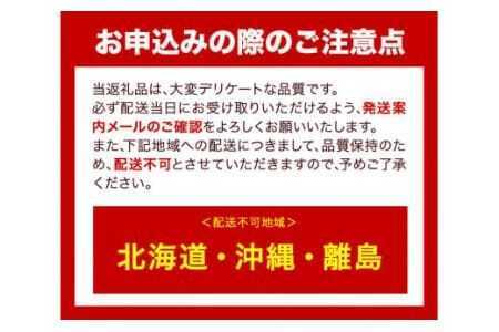 ミックス めだか 5種以上 計20匹+死着保障1匹 