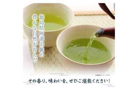 深むし茶と煎茶お試し詰合せセット 計6袋