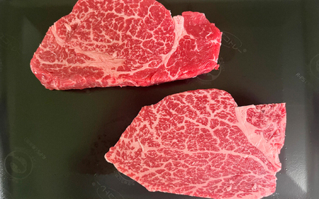 佐賀牛ヒレステーキ 2枚（計280g） / 牛肉 ブランド牛 / 佐賀県 / 佐嘉ZEYTAKUYA（やま田商店）[41AQAA024]