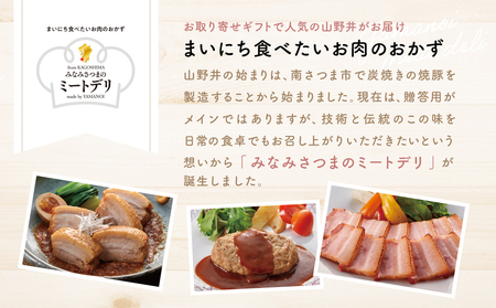 スチーム仕立てのごちそうハンバーグ 150g×11個 ［みなみさつまのミートデリ］ 山野井 ごはん おかず 惣菜 グルメ スチームハンバーグ 豚肉 牛肉 冷凍 加熱調理済み 電子レンジ調理 湯煎 食品 セット ギフト 贈答